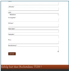 Webformular mit Textfeldern und Absenden-Button